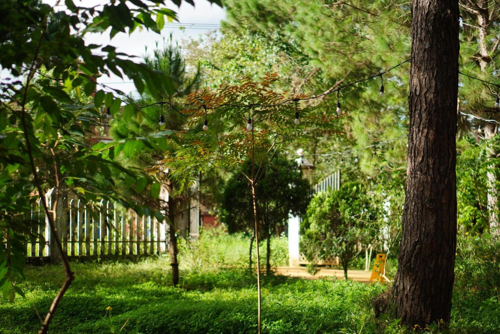 Sum Villa Homestay Mang Den Kon Von Kla Esterno foto