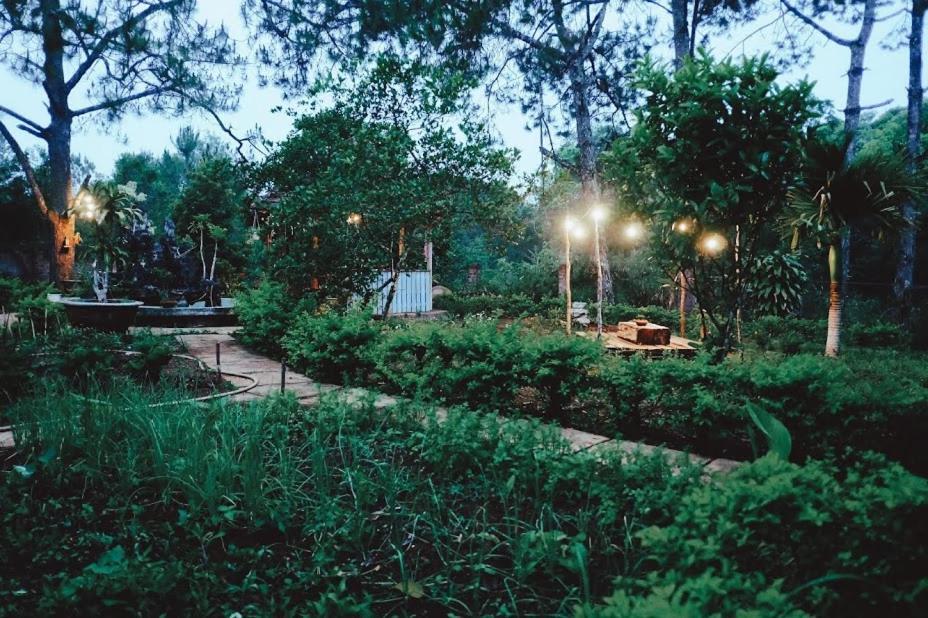 Sum Villa Homestay Mang Den Kon Von Kla Esterno foto